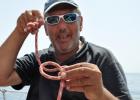 COURS DE VOILE